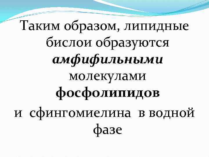 Таким образом, липидные бислои образуются амфифильными молекулами фосфолипидов и сфингомиелина в водной фазе 