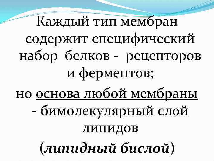Каждый тип мембран содержит специфический набор белков - рецепторов и ферментов; но основа любой