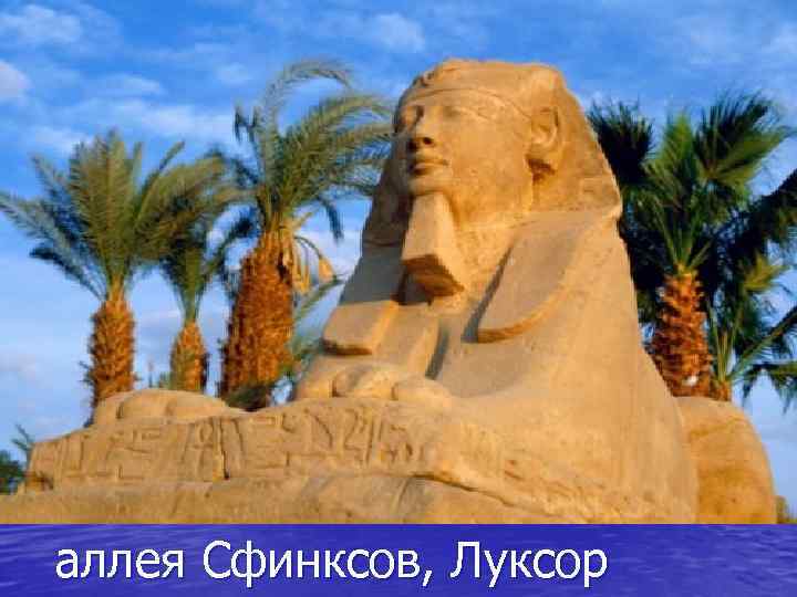 аллея Сфинксов, Луксор 