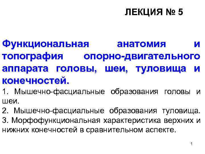 ЛЕКЦИЯ № 5 Функциональная анатомия и топография опорно-двигательного аппарата головы, шеи, туловища и конечностей.