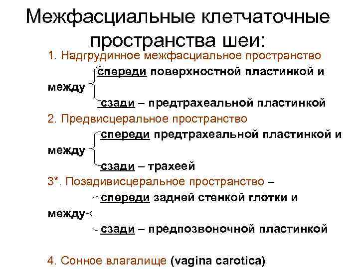 Межфасциальные клетчаточные пространства шеи: 1. Надгрудинное межфасциальное пространство спереди поверхностной пластинкой и между сзади