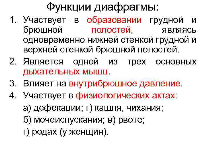 Функции диафрагмы: 1. Участвует в образовании грудной и брюшной полостей, являясь одновременно нижней стенкой