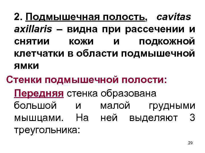 2. Подмышечная полость, cavitas axillaris – видна при рассечении и снятии кожи и подкожной