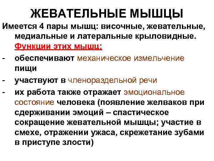 ЖЕВАТЕЛЬНЫЕ МЫШЦЫ Имеется 4 пары мышц: височные, жевательные, медиальные и латеральные крыловидные. Функции этих