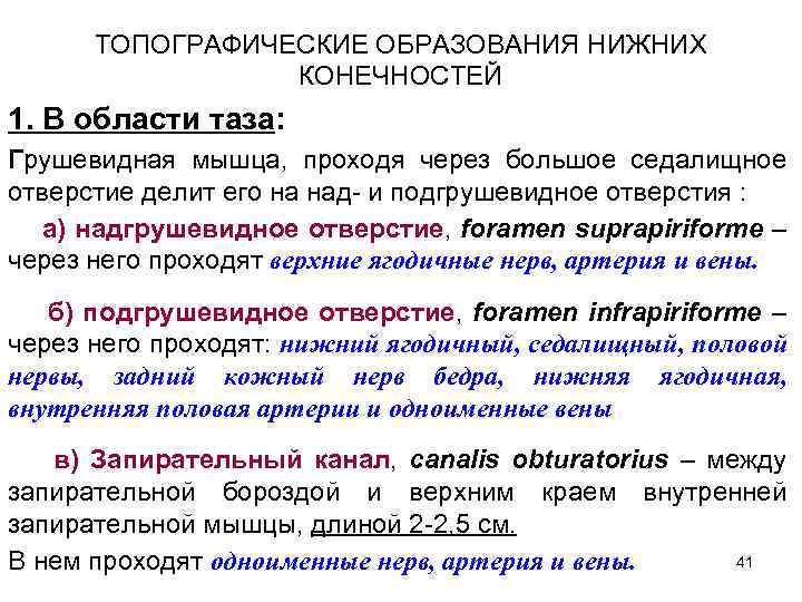 ТОПОГРАФИЧЕСКИЕ ОБРАЗОВАНИЯ НИЖНИХ КОНЕЧНОСТЕЙ 1. В области таза: Грушевидная мышца, проходя через большое седалищное