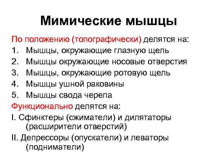 Мимические мышцы По положению (топографически) делятся на: 1. Мышцы, окружающие глазную щель 2. Мышцы