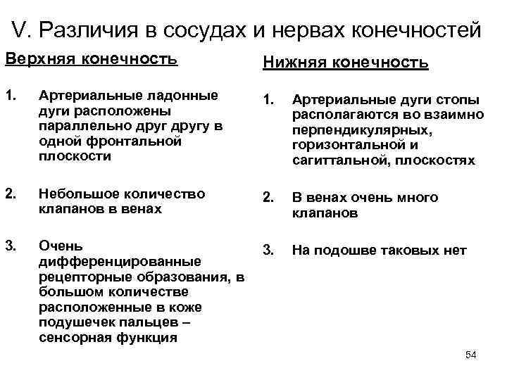 V. Различия в сосудах и нервах конечностей Верхняя конечность Нижняя конечность 1. Артериальные ладонные