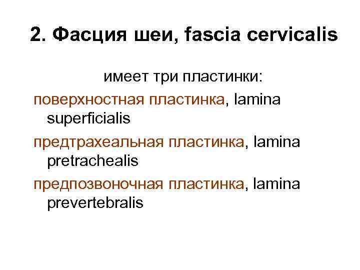 2. Фасция шеи, fascia cervicalis имеет три пластинки: поверхностная пластинка, lamina superficialis предтрахеальная пластинка,