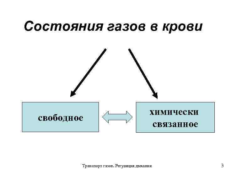 Состояния газов в крови свободное химически связанное Транспорт газов. Регуляция дыхания 3 