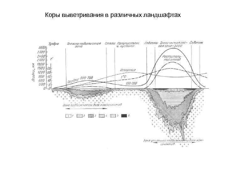 Коры выветривания в различных ландшафтах 