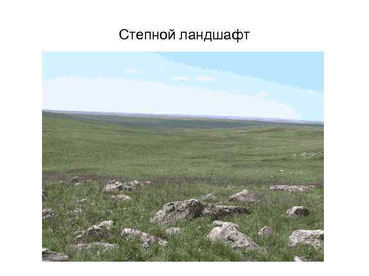 Степной ландшафт 