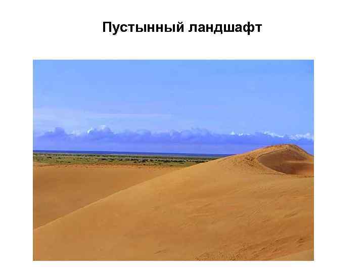 Пустынный ландшафт 