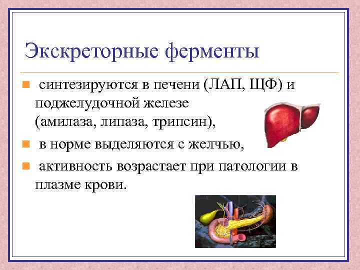 Экскреторные ферменты синтезируются в печени (ЛАП, ЩФ) и поджелудочной железе (амилаза, липаза, трипсин), n