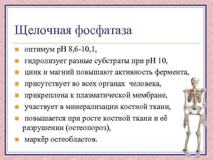 Щелочная фосфатаза n n n n оптимум р. Н 8, 6 -10, 1, гидролизует