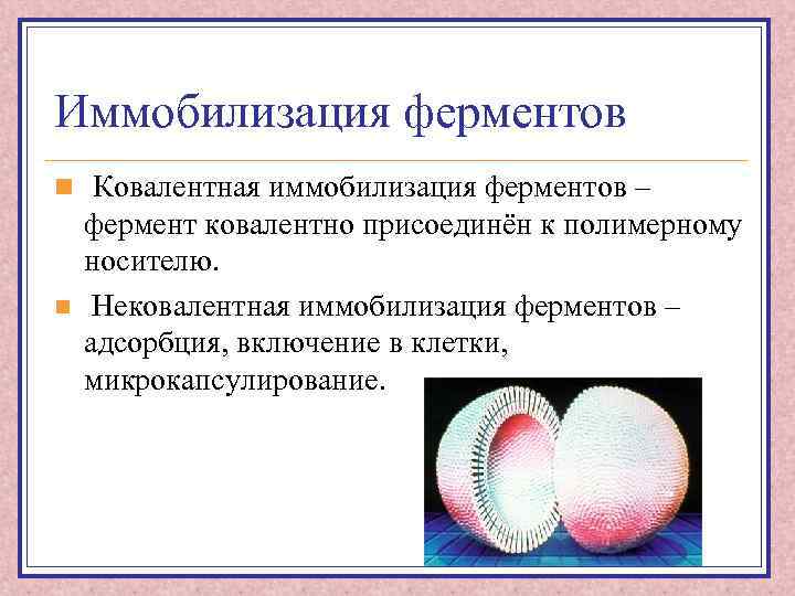 Иммобилизация ферментов n Ковалентная иммобилизация ферментов – n фермент ковалентно присоединён к полимерному носителю.