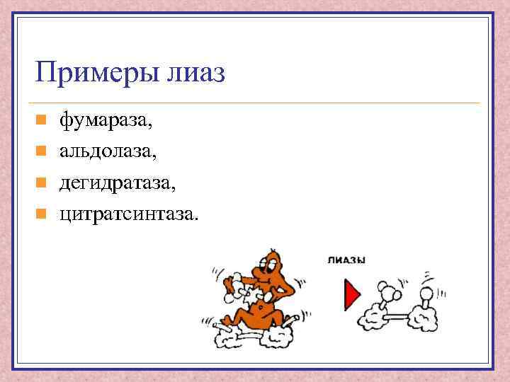 Примеры лиаз n n фумараза, альдолаза, дегидратаза, цитратсинтаза. 