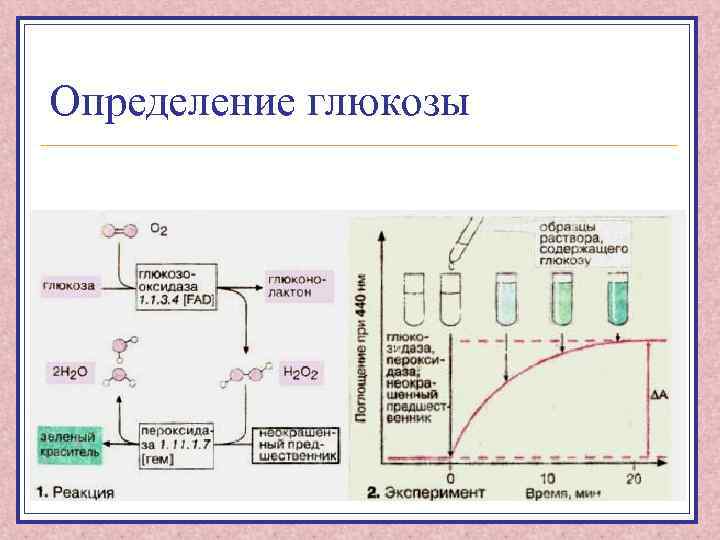 Определение глюкозы 
