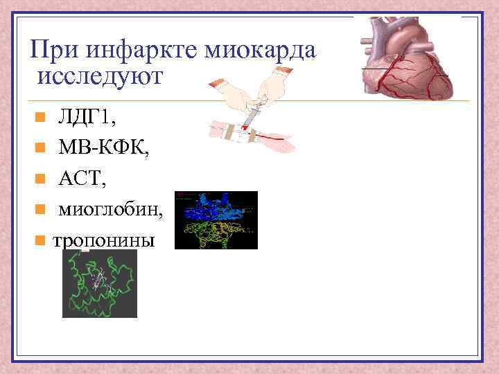 При инфаркте миокарда исследуют ЛДГ 1, n МВ-КФК, n АСТ, n миоглобин, n тропонины
