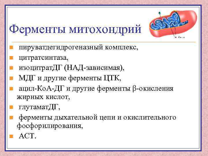Ферменты митохондрий n n n n пируватдегидрогеназный комплекс, цитратсинтаза, изоцитрат. ДГ (НАД-зависимая), МДГ и