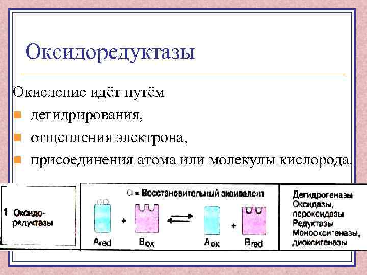 Оксидоредуктазы Окисление идёт путём n дегидрирования, n отщепления электрона, n присоединения атома или молекулы
