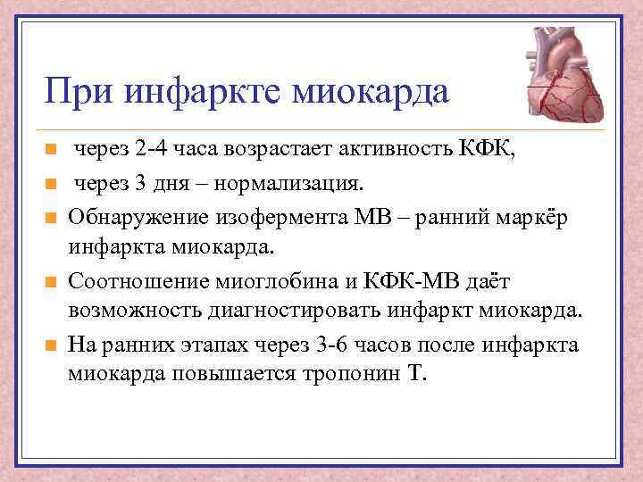 При инфаркте миокарда n n n через 2 -4 часа возрастает активность КФК, через