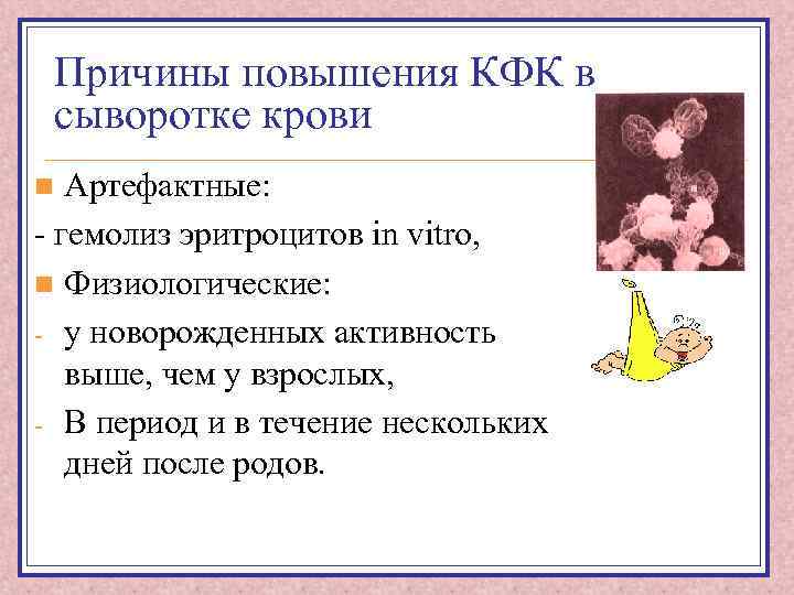 Причины повышения КФК в сыворотке крови Артефактные: - гемолиз эритроцитов in vitro, n Физиологические: