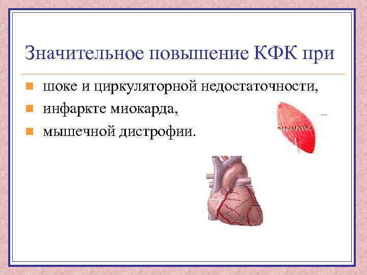 Значительное повышение КФК при n n n шоке и циркуляторной недостаточности, инфаркте миокарда, мышечной