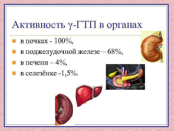 Активность γ-ГТП в органах n n в почках - 100%, в поджелудочной железе –