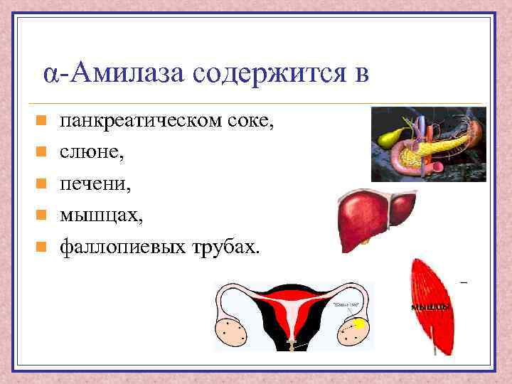 α-Амилаза содержится в n n n панкреатическом соке, слюне, печени, мышцах, фаллопиевых трубах. 