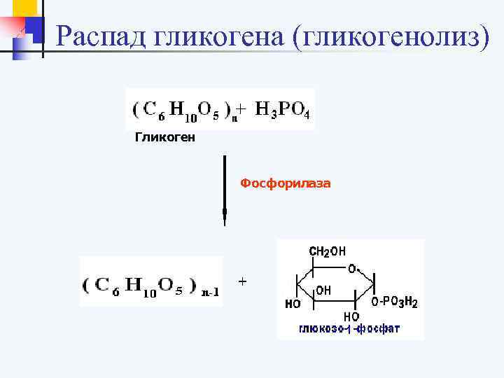 Распад гликогена схема