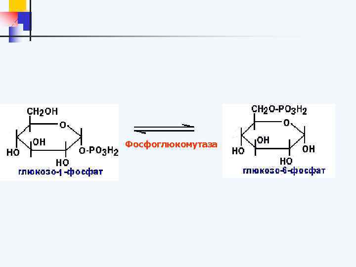 Фосфоглюкомутаза 