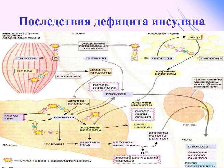 Последствия дефицита инсулина 