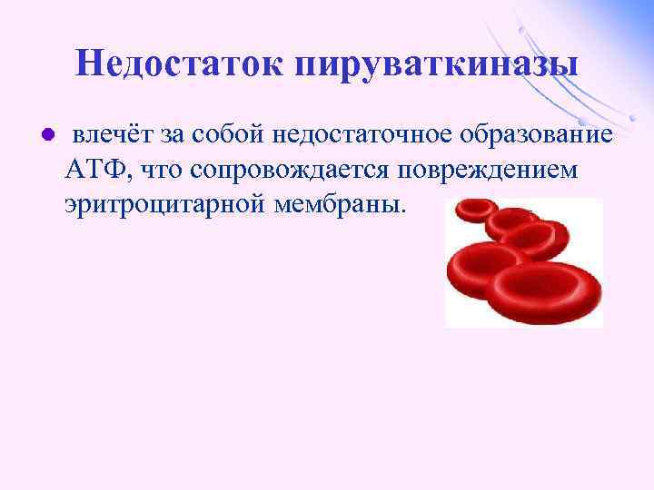 Недостаток пируваткиназы l влечёт за собой недостаточное образование АТФ, что сопровождается повреждением эритроцитарной мембраны.