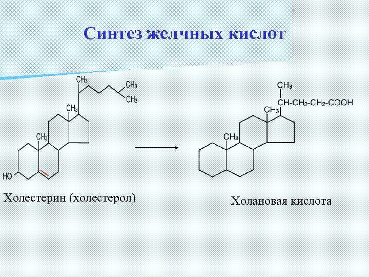 Синтез желчных кислот Холестерин (холестерол) Холановая кислота 