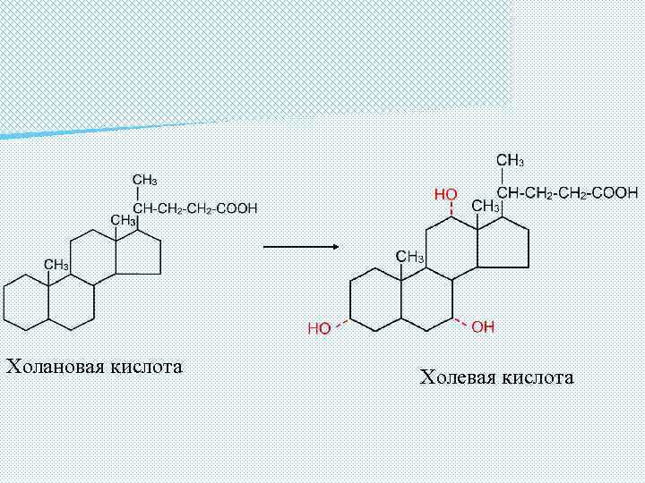 Холановая кислота Холевая кислота 