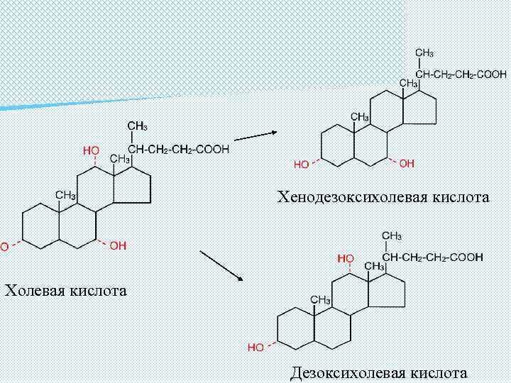 Хенодезоксихолевая кислота Холевая кислота Дезоксихолевая кислота 