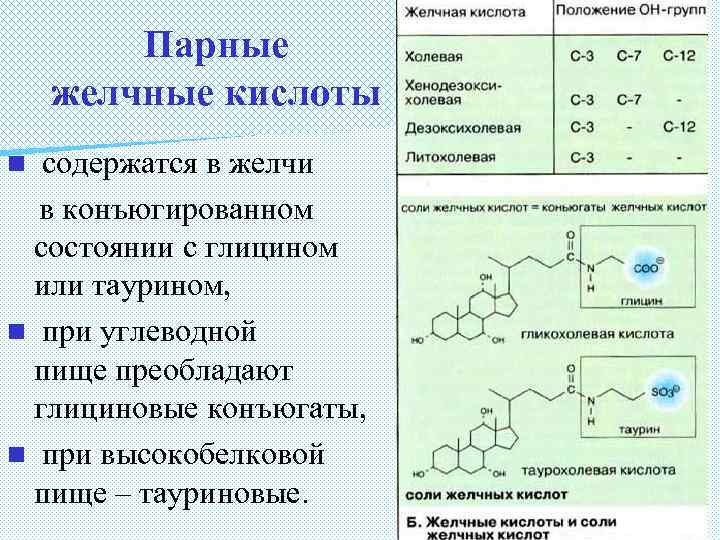 Парные желчные кислоты содержатся в желчи в конъюгированном состоянии с глицином или таурином, n