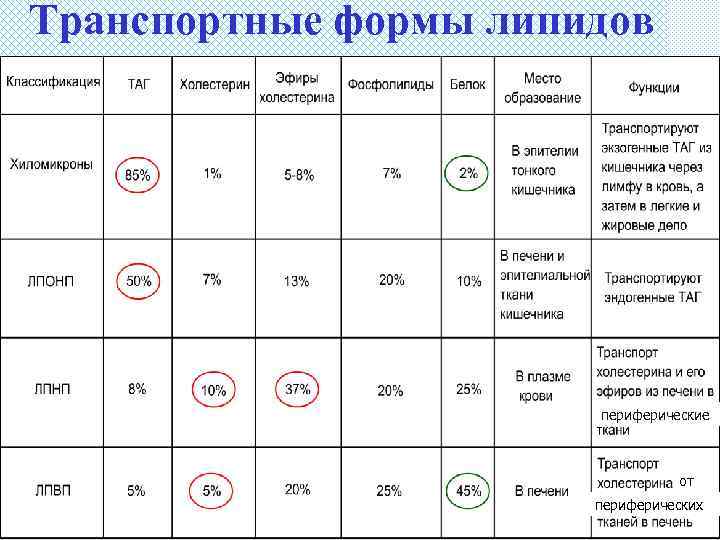 Транспортные формы липидов периферические от периферических 