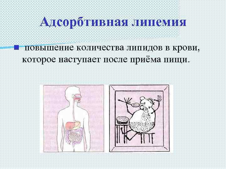 Адсорбтивная липемия n повышение количества липидов в крови, которое наступает после приёма пищи. 