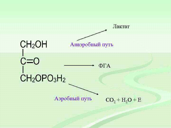 Схема окисления лактата до co2 и h2o