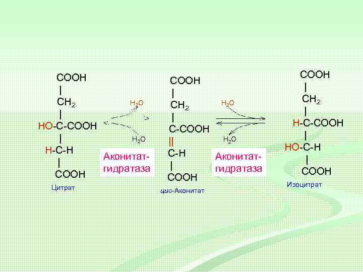 COOH | CH 2 H 2 O | HO-C-COOH | H 2 O H-C-H