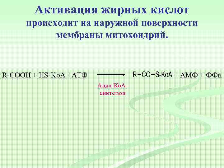 Активация жирных кислот происходит на наружной поверхности мембраны митохондрий. R-COOH + HS-Ko. A +АТФ