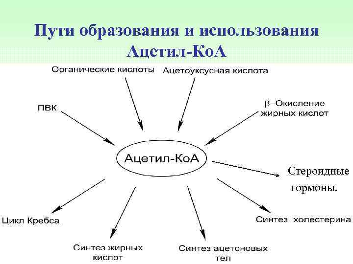 Пути образования и использования Ацетил-Ко. А Стероидные гормоны. 