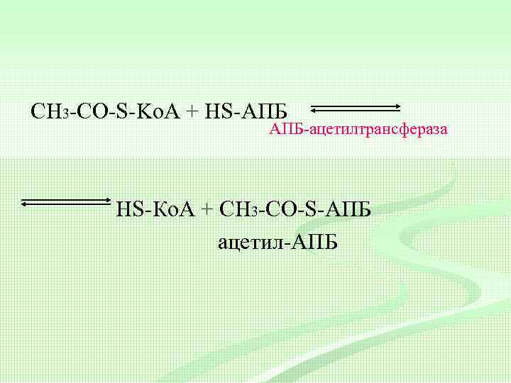 СН 3 -CО-S-Ko. A + HS-АПБ АПБ-ацетилтрансфераза HS-Ко. А + СН 3 -CО-S-АПБ ацетил-АПБ