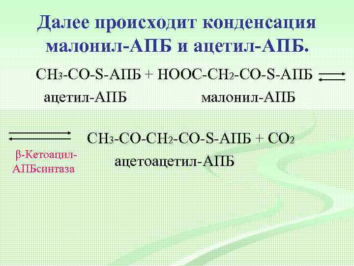 Далее происходит конденсация малонил-АПБ и ацетил-АПБ. СН 3 -CО-S-АПБ + НООС-СН 2 -CО-S-АПБ ацетил-АПБ