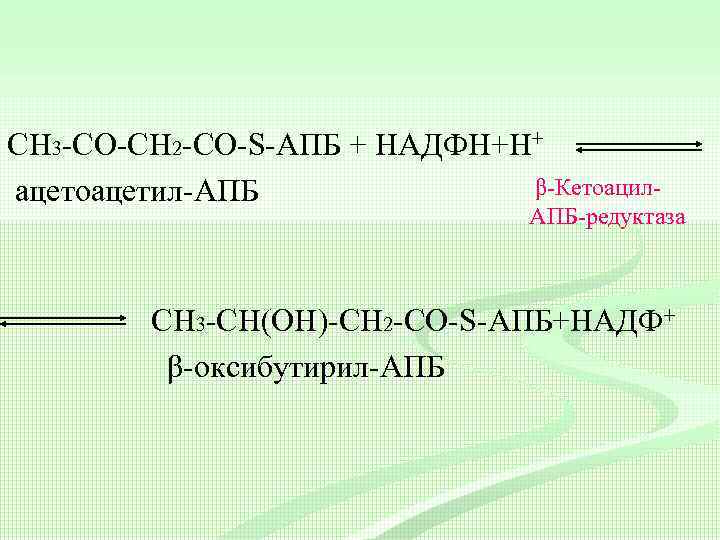СН 3 -CО-СН 2 -CО-S-АПБ + НАДФН+Н+ β-Кетоацилацетоацетил-АПБ АПБ-редуктаза СН 3 -CH(ОH)-СН 2 -CО-S-АПБ+НАДФ+