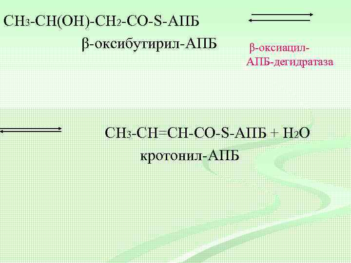 СН 3 -CH(ОH)-СН 2 -CО-S-АПБ β-оксибутирил-АПБ β-оксиацил. АПБ-дегидратаза СН 3 -CH=СН-CО-S-АПБ + Н 2