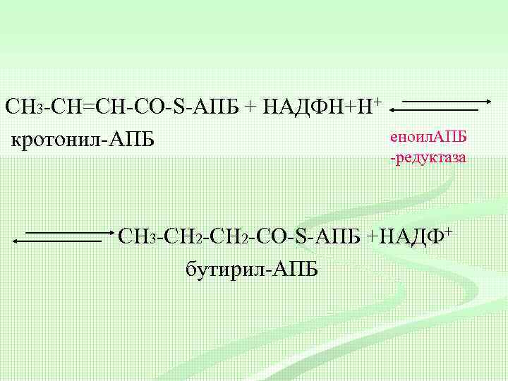 СН 3 -CH=СН-CО-S-АПБ + НАДФН+Н+ кротонил-АПБ еноил. АПБ -редуктаза СН 3 -CH 2 -СН