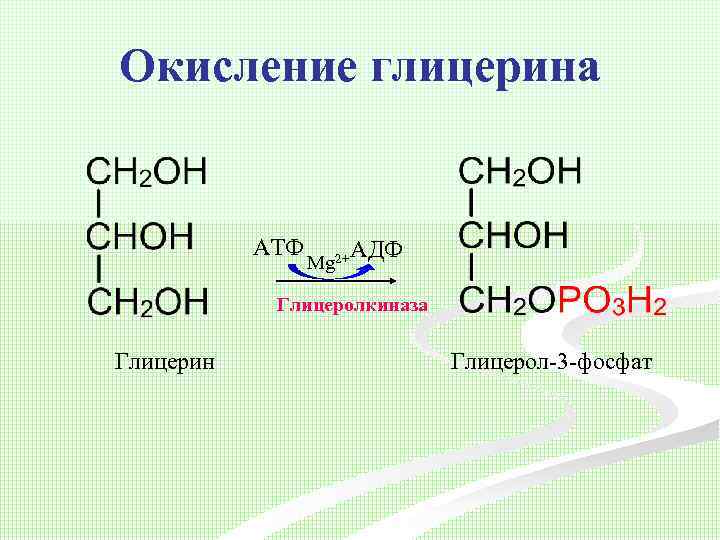 Реакция образования глицерина. Реакцию образования глицерол-3-фосфата из глицерина.. Глицерин в глицерол 3 фосфат. Образование глицерол 3 фосфата из глицерина. Глицеральдегид 3 фосфат из глицерол-3-фосфата.