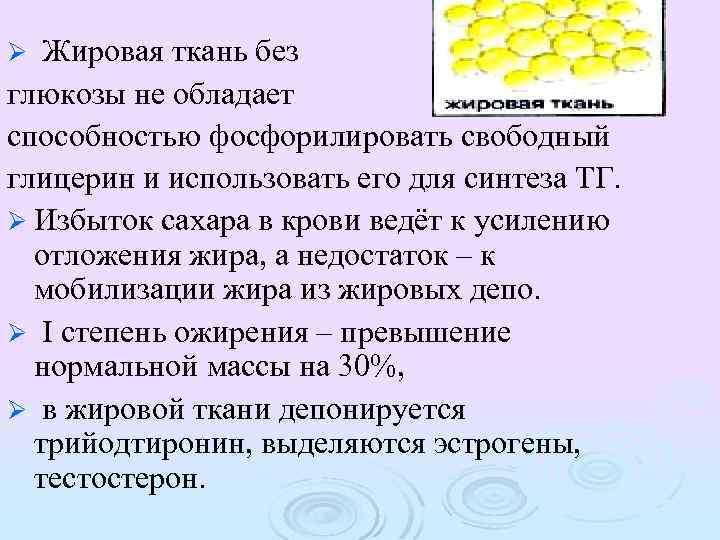 Жировая ткань без глюкозы не обладает способностью фосфорилировать свободный глицерин и использовать его для